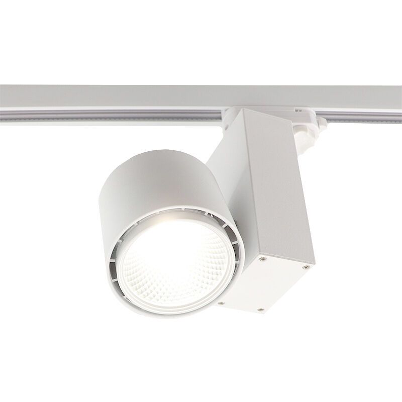Biały Bisolux Master B Railspot, sterownik Philips, 4000k, 40w, 36 stopni