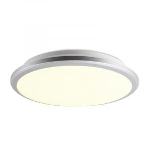 Plastikowy nowoczesny plafon sufitowy srebreny, Joachim, 24W, 3000K LED