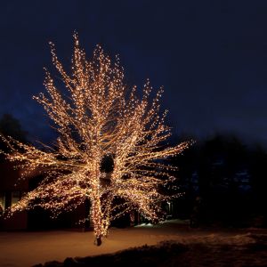 30m czarne oświetlenie z możliwością łączenia, 10 diod LED p/metr, IP67 - Ciepła biel