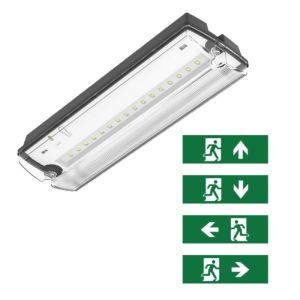 Oświetlenie awaryjne czarne z piktogramami, Pedram, 3W, 6500K LED, IP66