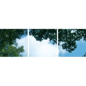 Fotodruk chmurka z lasem - zestaw 3 akrylowych płyt z nadrukiem, do paneli LED o wymiarach 60x60 cm