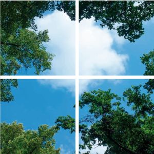 Fotodruk chmurka z lasem - zestaw 4 akrylowych płyt z nadrukiem, do paneli LED o wymiarach 60x60 cm
