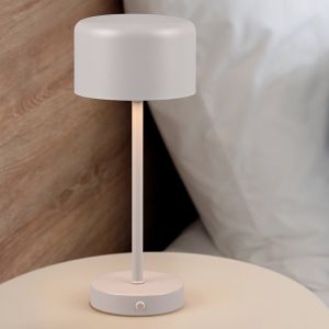 Szara lampa stołowa nowoczesna, Dustin, 1,5W, 3000K LED, z dotykowy ściemniacz