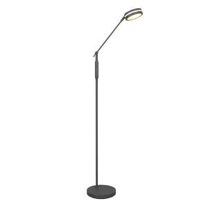 Antracytowa lampa do czytania stojąca nowoczesna, Marjon, 6W, regulowana ciepła do zimnej bieli LED, z dotykowy ściemniacz