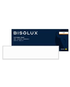 Bisolux Master panel LED 30x120 cm, 38W, 3000K