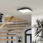 Stalowa nowoczesna inteligentna lampa sufitowa czarna, Shauni, 20W, RGBW LED, z pilot