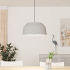 Aluminiowa rustykalna lampa wisząca szara, Teddie