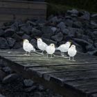 5 ptaków LED, do użytku wewnątrz i na zewnątrz