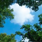 Fotodruk chmurka z lasem - 1 płyta akrylowa z nadrukiem, do paneli LED o wymiarach 60x60 cm