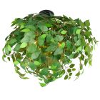 Zielony plafon sufitowy design, Urwa