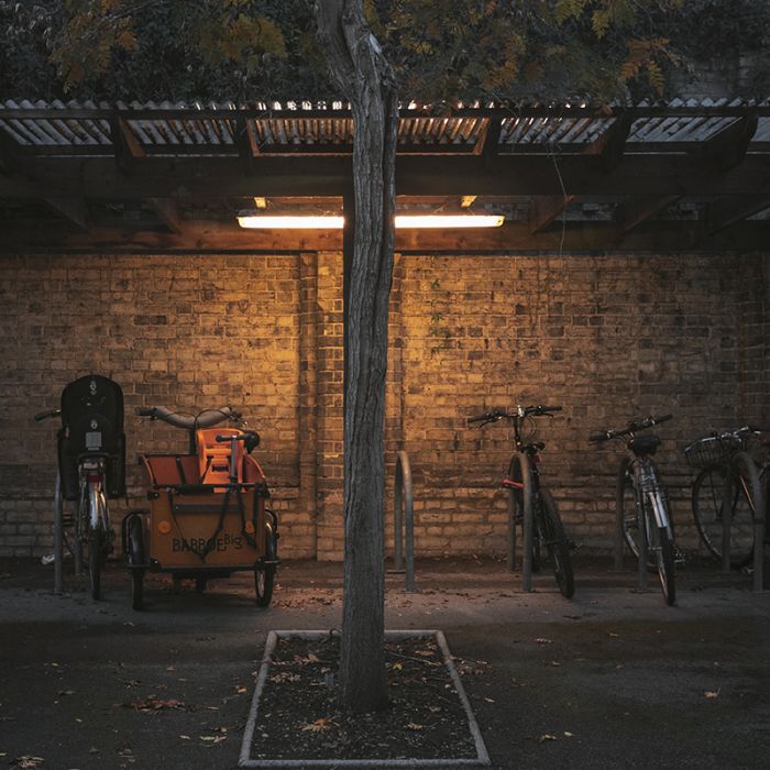 Bisolux świetlówka LED 150 cm, 3000K, 22W, z rozrusznikiem