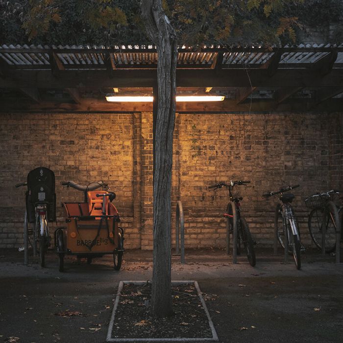 Bisolux świetlówka LED 60 cm, 4000K, 9W, z rozrusznikiem